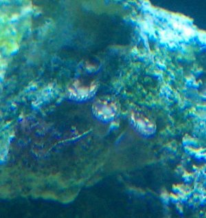IMAG0289-1.jpg