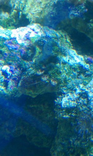 IMAG0290.jpg