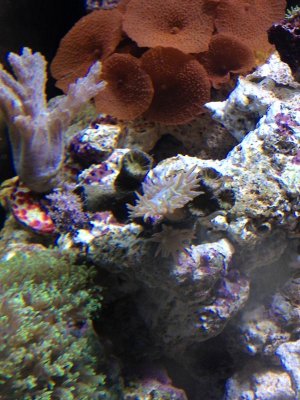 IMG_0888.jpg