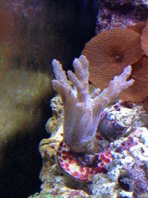 IMG_0880.jpg