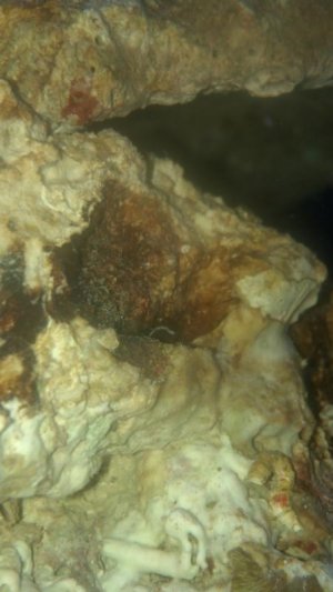2012-07-22_21-09-58_129.jpg