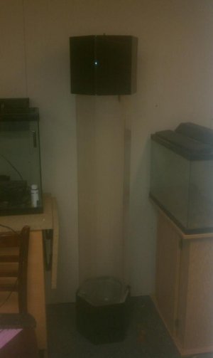 IMAG0264.jpg