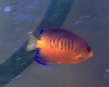 Screen Shot 2012-08-13 at 7.11.08 PM.jpg