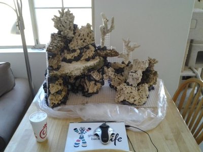 2012-07-20 16.31.09.jpg