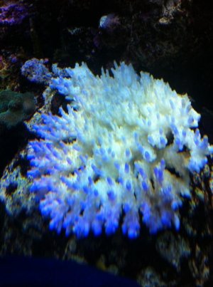f0fd7c9d[1].jpg