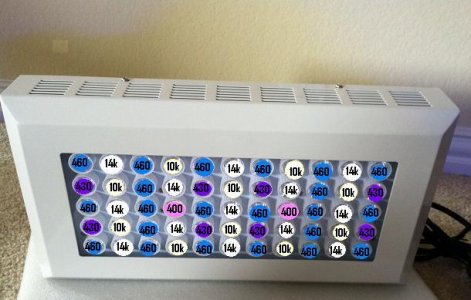 55x3 with color.jpg