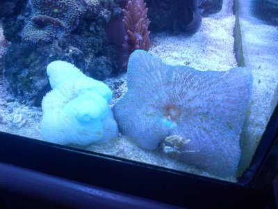 IMG-20120717-00354.jpg