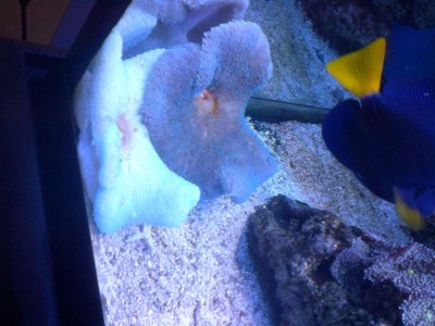 IMG-20120717-00359.jpg