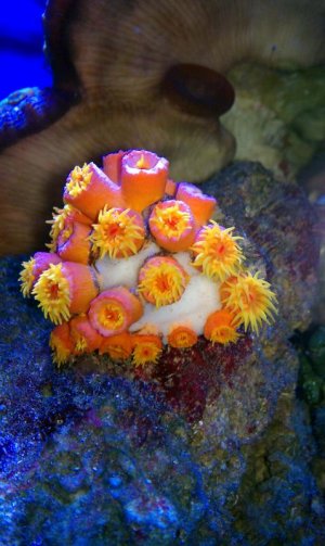 IMAG0327.jpg