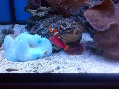 BC Acclimating 2.jpg