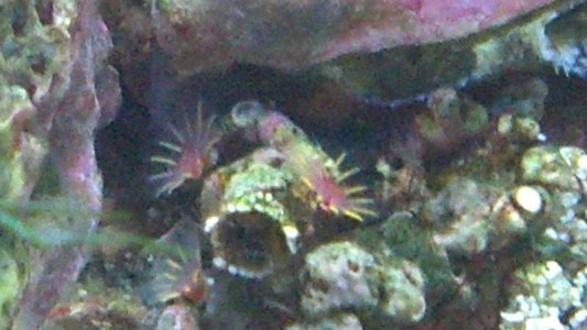 2012-08-14_17-17-36_245.jpg