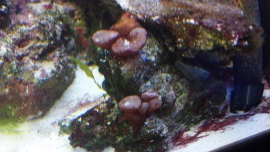 2012-07-25_18-26-00_91.jpg