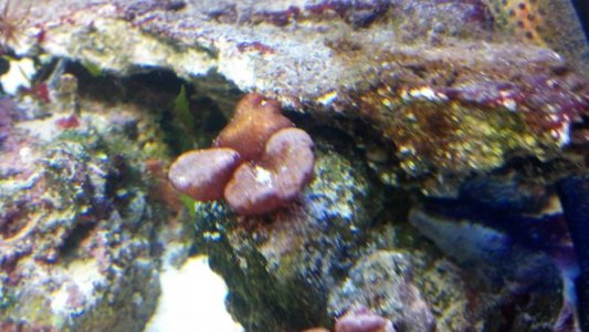 2012-07-25_18-26-31_640.jpg