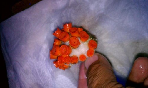 sun 8-16-12.jpg