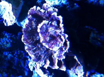 photo 4.jpg