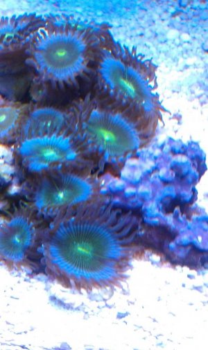 IMAG0654.jpg