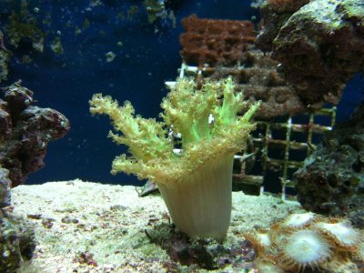 IMG_0052[1].jpg