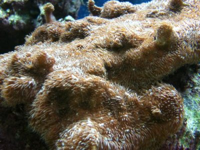 IMG_0055[2].jpg