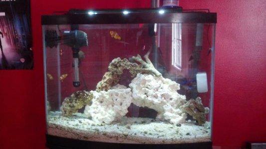 2012-07-27_19-04-48_72.jpg