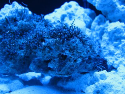 IMG_0668.jpg