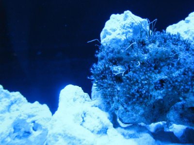 IMG_0660.jpg