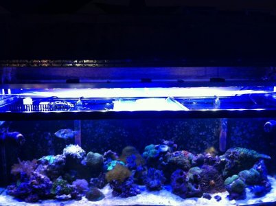 photo 3 copy 2.jpg