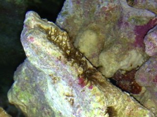 photo-1.JPG