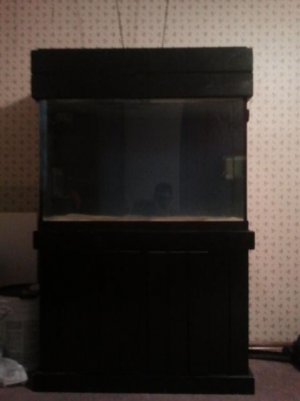 2012-07-29 15.49.04.jpg