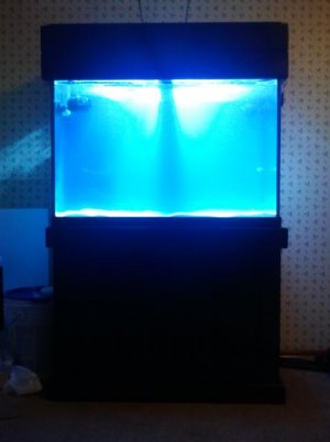 2012-07-29 15.50.44.jpg