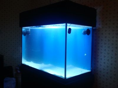 2012-07-29 15.51.41.jpg