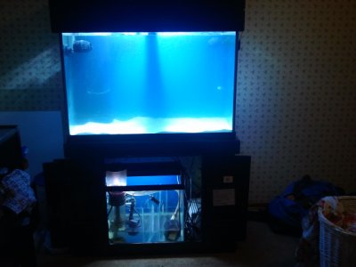 2012-07-29 15.52.23.jpg