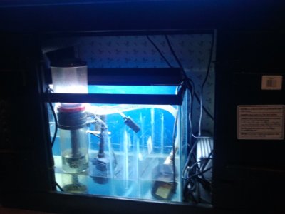 2012-07-29 15.52.42.jpg