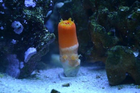 DSC_0113.jpg