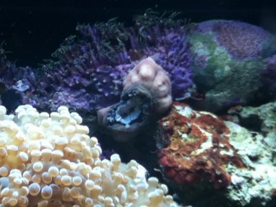 2012-08-19 17.13.40.jpg