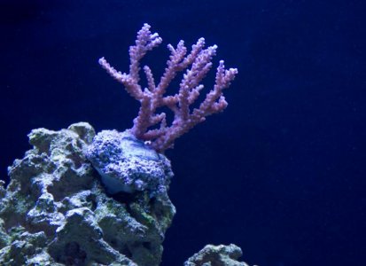 sps_2_june.jpg