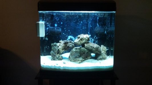 2012-08-16_20-10-41_970.jpg 2012-08-16_20-10-41_970.jpg