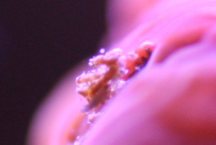 IMG_5383 - Version 2.jpg