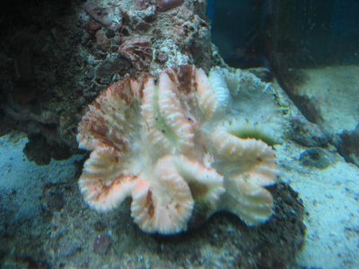 IMG_2934.jpg