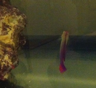 Photo Jul 30, 7 33 42 PM.jpg