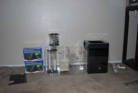 Sump and Refugium.jpg