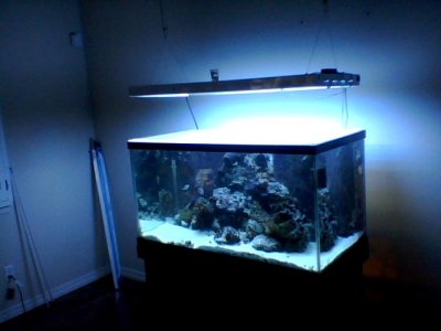Snapshot_20120821_3.JPG