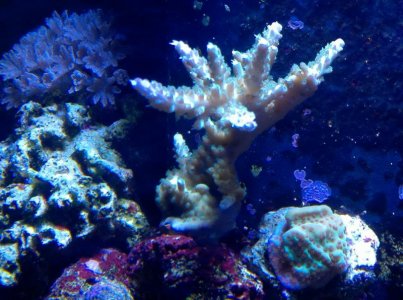 2012-07-31_15-03-32_18.jpg