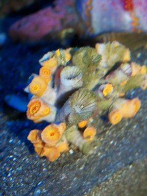 100_3316.jpg