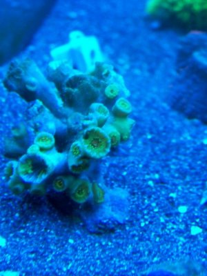 100_3310.jpg