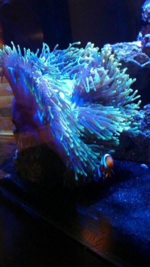 uploadfromtaptalk1345653284147.jpg uploadfromtaptalk1345653284147.jpg