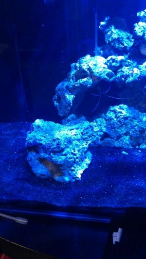 uploadfromtaptalk1345653361405.jpg uploadfromtaptalk1345653361405.jpg