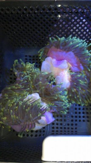 uploadfromtaptalk1345653747038.jpg uploadfromtaptalk1345653747038.jpg