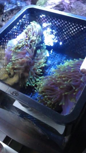 uploadfromtaptalk1345653816893.jpg uploadfromtaptalk1345653816893.jpg