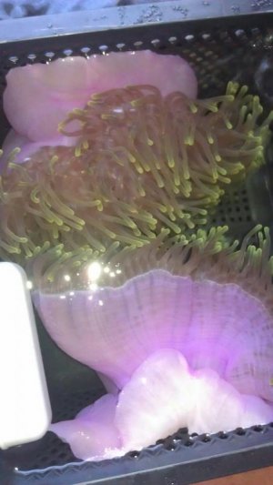 uploadfromtaptalk1345653864678.jpg uploadfromtaptalk1345653864678.jpg