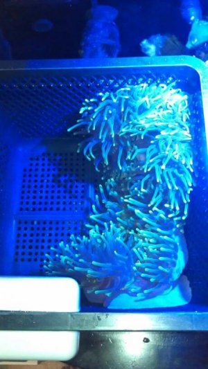 uploadfromtaptalk1345654019963.jpg uploadfromtaptalk1345654019963.jpg